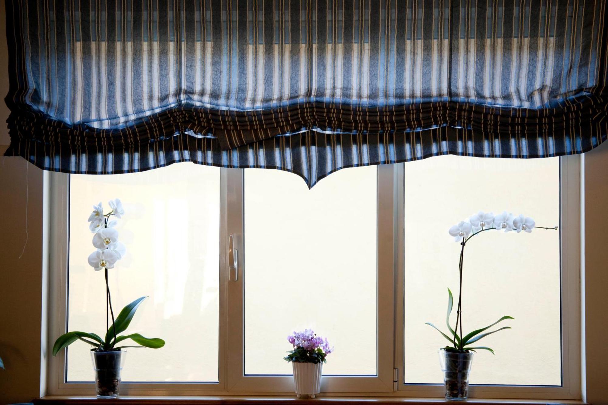 Albergo Da Benedetta Vetralla Eksteriør billede